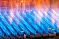 Baverstock gas fired boilers